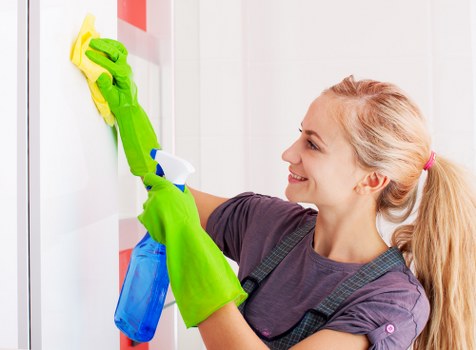 Professional gutter cleaning for Nottinghill homes and period properties