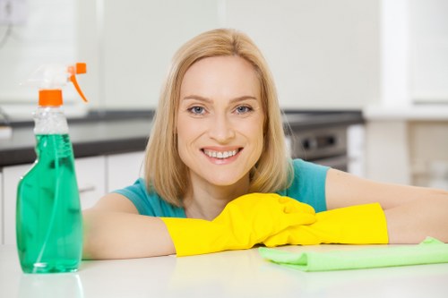 Professional hot water extraction cleaning for carpets in Nottinghill