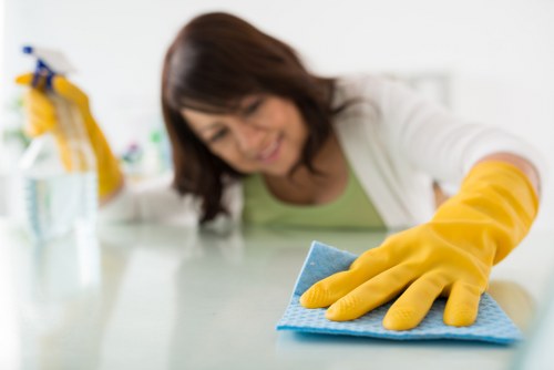 Deep cleaning for a Nottinghill flat with period features