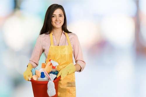 Accessibility support section for Cleaners Nottinghill area
